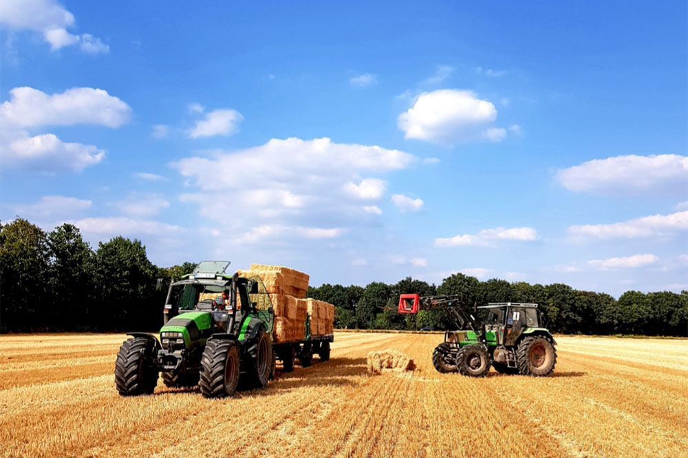 LandwirtschaftSchwarz_01